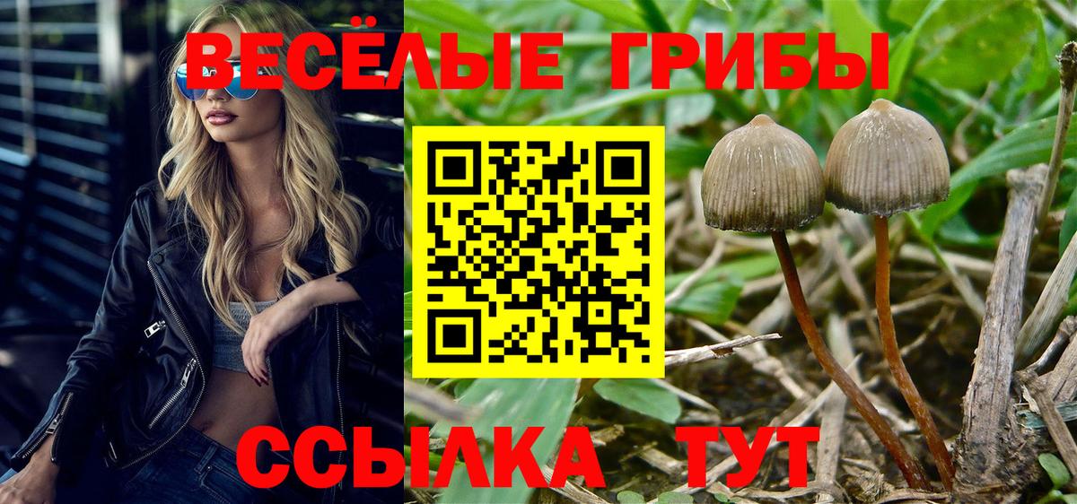 Петровск  Галлюциногенные грибы мухоморы  Вход с VPN 
