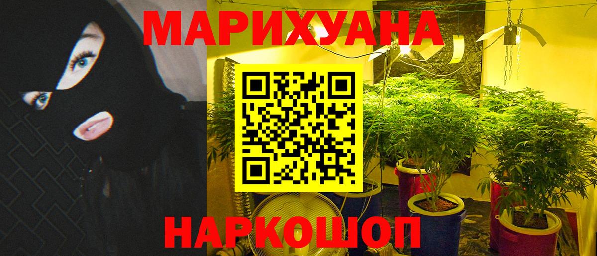 Бошки марихуана ГИДРОПОН Петровск